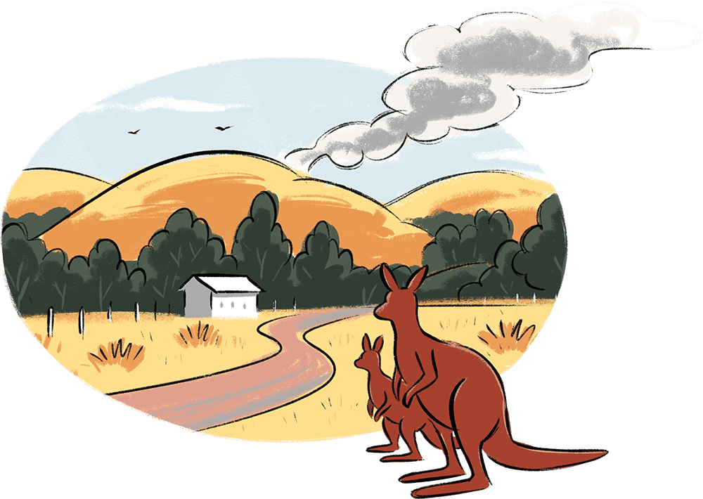two kangaroos looking at smoke in the distance